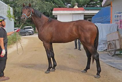 �����Ŀ� ����