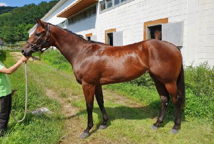 ���̸�Ʈ�� ����