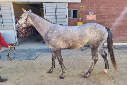 �����̺� ����