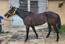 ����� (YONGSANG UNGI) ����