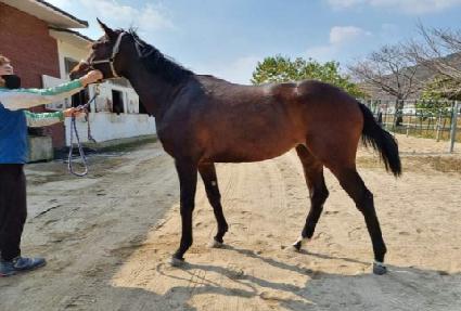 Ƽ���̾ص�� ����