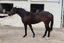 CHOEGANG WEEK picture