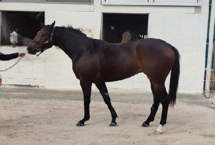 �ְ���ũ ����