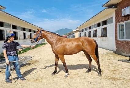 ��ũ����� ����