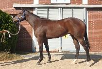 ����Ʈ���� (BEST LEADER) ����