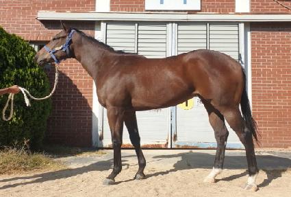 ����Ʈ���� ����