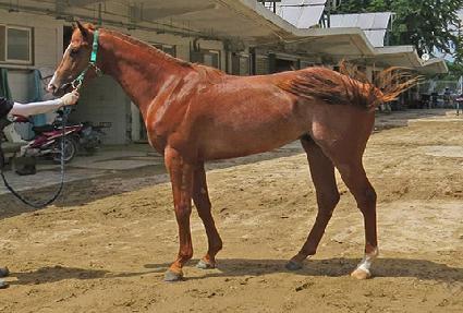 ĳ������ ����