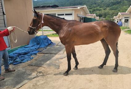 �����ô� ����