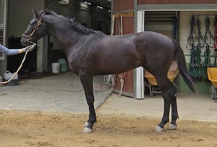 �Ѱ���ī�� ����