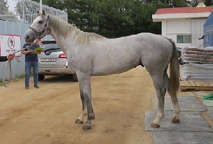 ��Ʈ���� ����