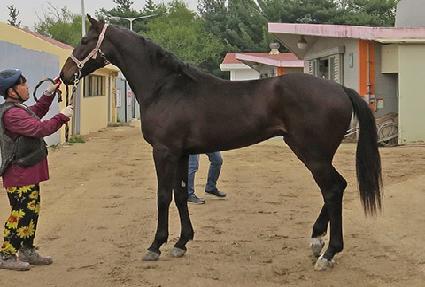 ��Ʈ��ġ ����