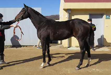 �´��Ͻ� ����