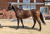 ���̽������� (NICE TODAY) ����