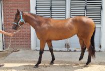 ���̵���� (LADYBUG) ����