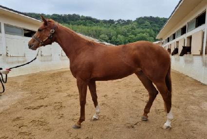 �ݾ�������Ʈ ����