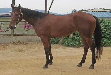 �������ȭ ����