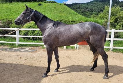 ���̽�ȣ���� ����