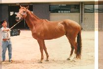 ���̵�ǳ (MA I DONG POONG) ����