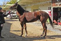 ���̿������� (J.Y. COCO) ����