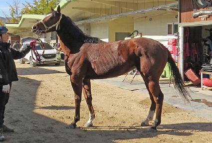 ���̿������� ����