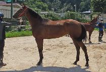 �ݼ������ (GEUMSEONG REVERE) ����