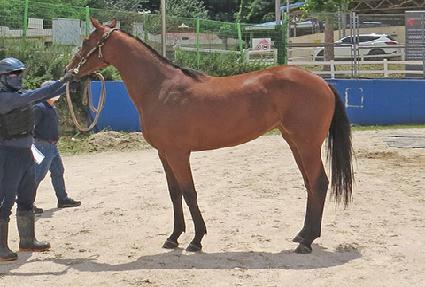 ��罺�� ����