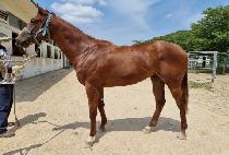 ����ŷ (SEONGSIL KING) ����