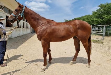 ����ŷ ����