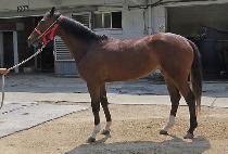 ������Ʈ (JEONGSANG HIT) ����