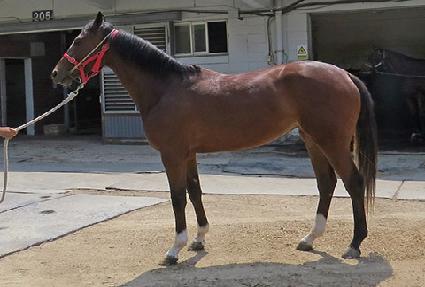 ������Ʈ ����