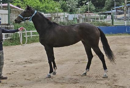 ��������Ʈ ����