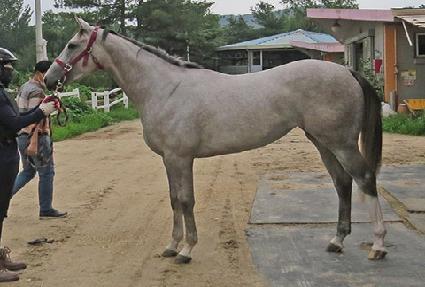 �����¾� ����