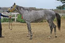 �帲�÷��� (DREAM PLAY) ����