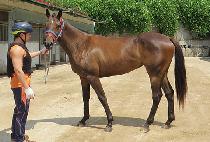 ��¿����̾� (RAON EMPIRE) ����