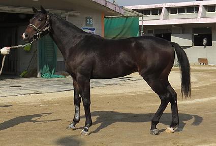 ��Ʈ���� ����