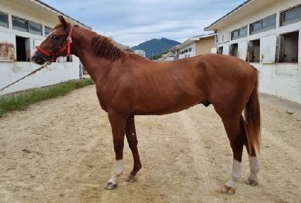 �۷ι���ũ ����