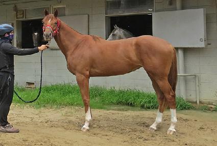 ���̽�Ƽ�ƶ� ����