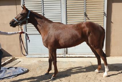 Ƽ���̸�� ����