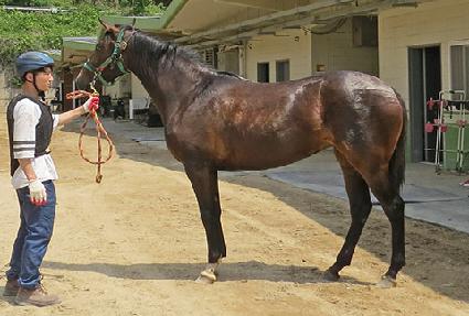 �����±ݼ� ����