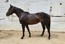 �ٶ��ٶ� (BARAMBARAM) ����