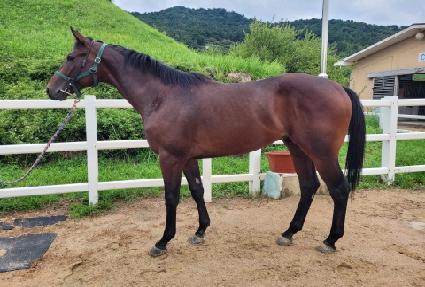 ���ͳؽ�Ʈ ����