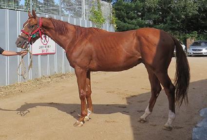 ����Ʈ���� ����