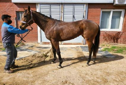 �����ö��� ����