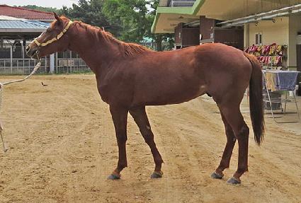 ��Ÿ������ ����