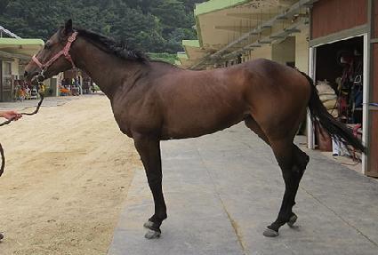 ������Ÿ ����