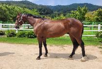 ���Բ��޸��� (DAHAMKKEDALLIJA) ����