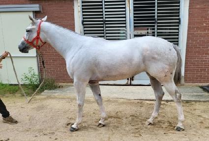 �����¡���� ����