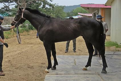 ��ġ����Ʈ ����