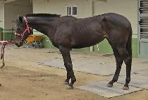 �۾���ũ (SONGAM PARK) ����