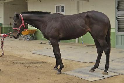 �۾���ũ ����